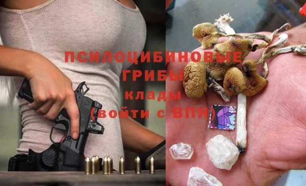первитин Белоозёрский