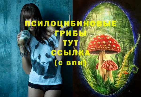 apvp Белокуриха