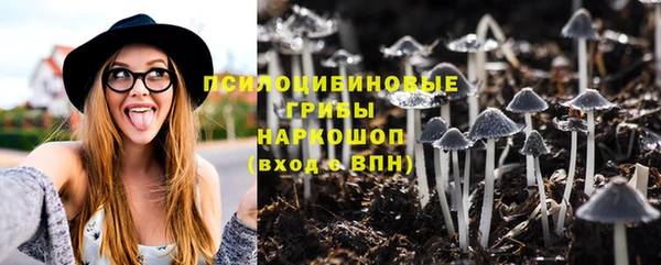 apvp Белокуриха