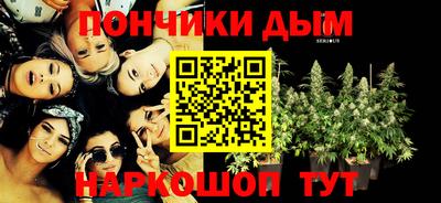 прущие грибы Сертолово
