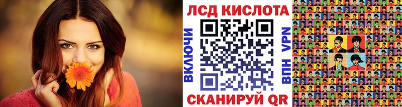 гидра ONION  купить наркоту  Губкинский  Марки N-bome 1,8мг 