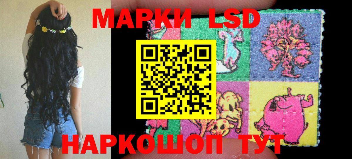 Губкинский  Марки N-bome 1,8мг  Вход с VPN 
