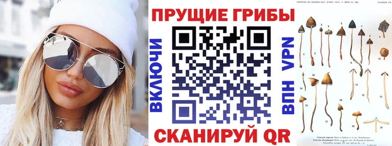 сколько стоит  Губкинский  Галлюциногенные грибы Psilocybe 