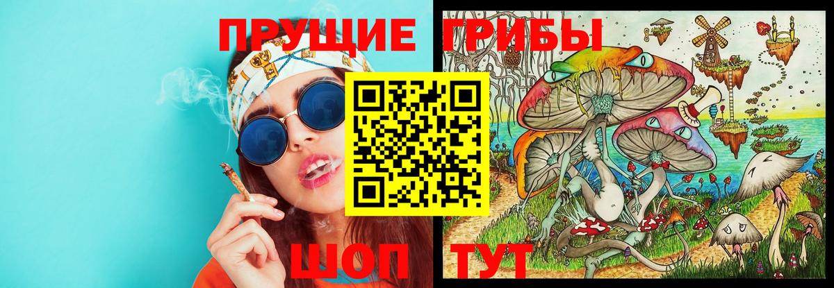Псилоцибиновые грибы GOLDEN TEACHER  Вход с VPN  Галлюциногенные грибы мухоморы  Губкинский 