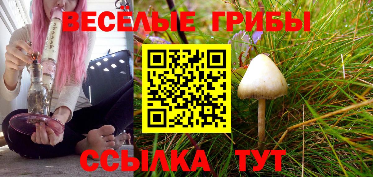 Галлюциногенные грибы Cubensis Губкинский