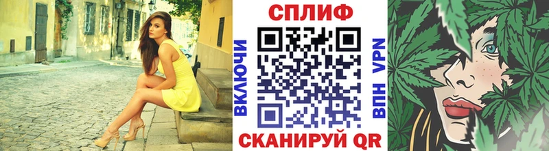 что такое наркотик  Губкинский  Бошки Шишки сатива 